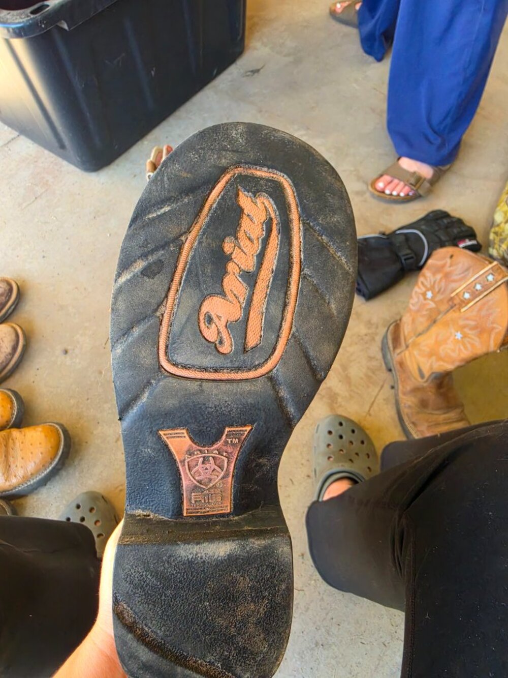 Womens Ariat Boots - Picture 3 of 3